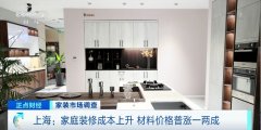 <b>这背后的次要缘由有哪些</b>